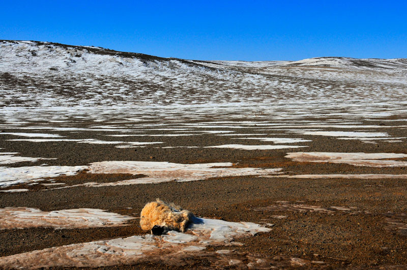 Mongolia